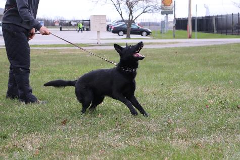 Chloe von Prufenpuden 