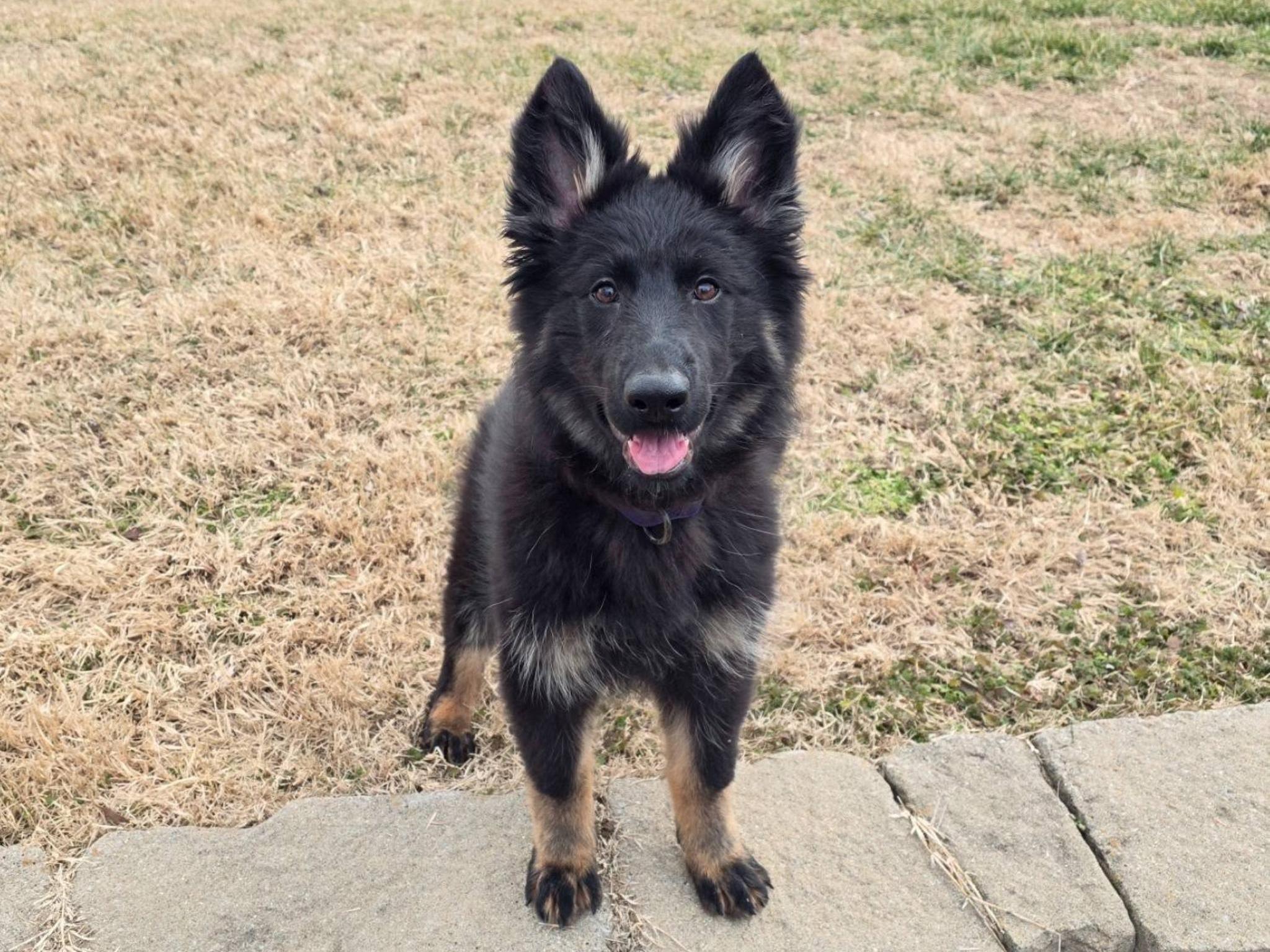 Isobel von Prufenpuden Image