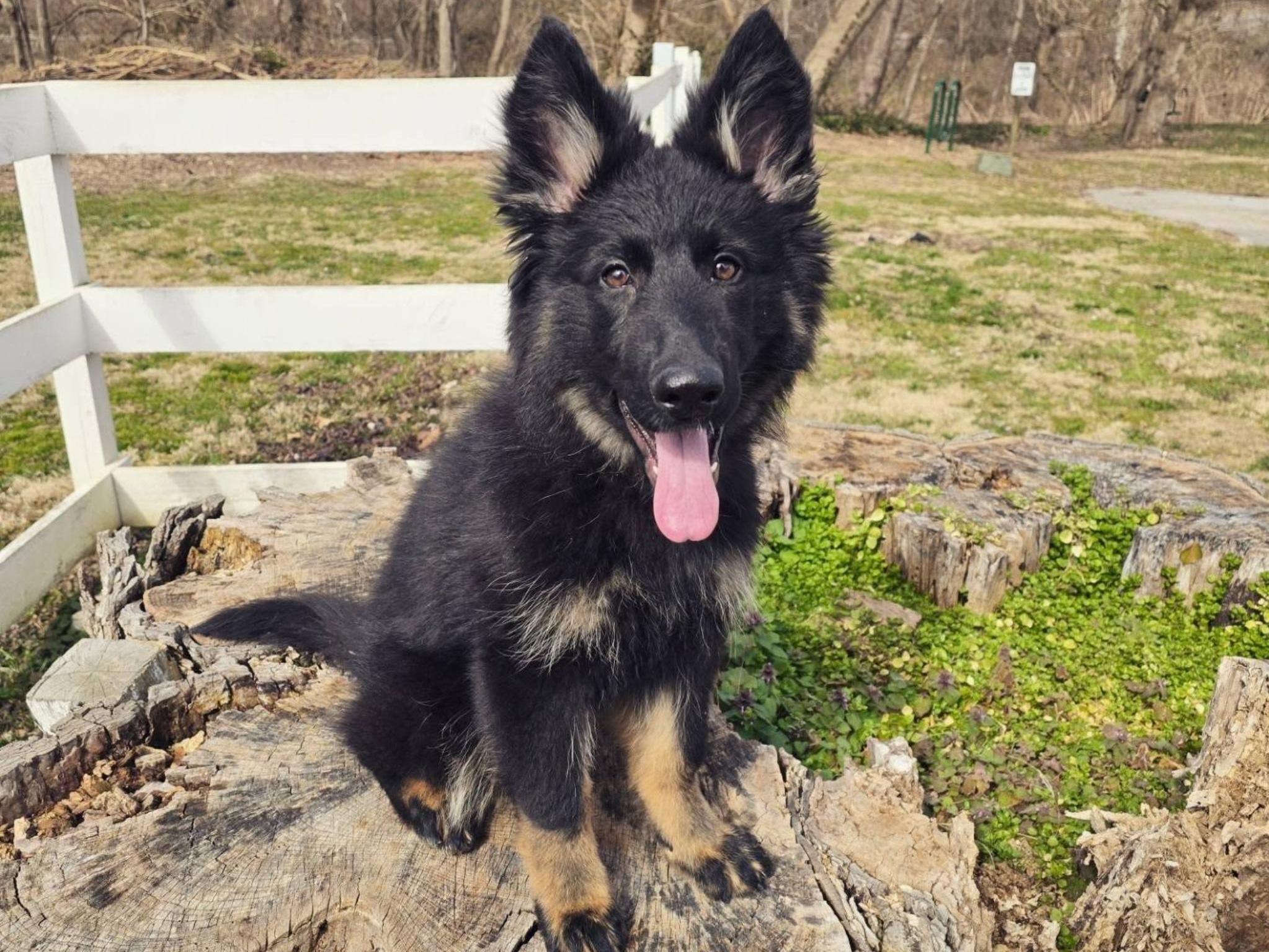 Isobel von Prufenpuden Image