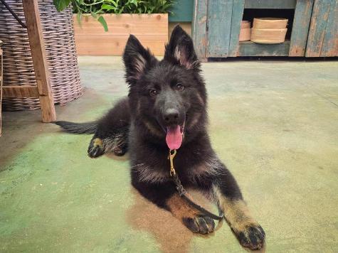 Isobel von Prufenpuden Image