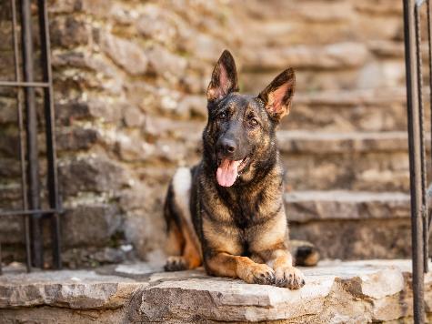 Yuba von Prufenpuden Image