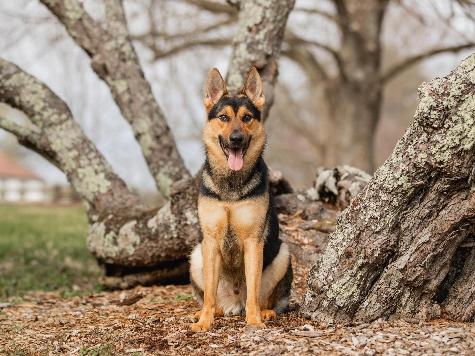 Zannie von Prufenpuden Image