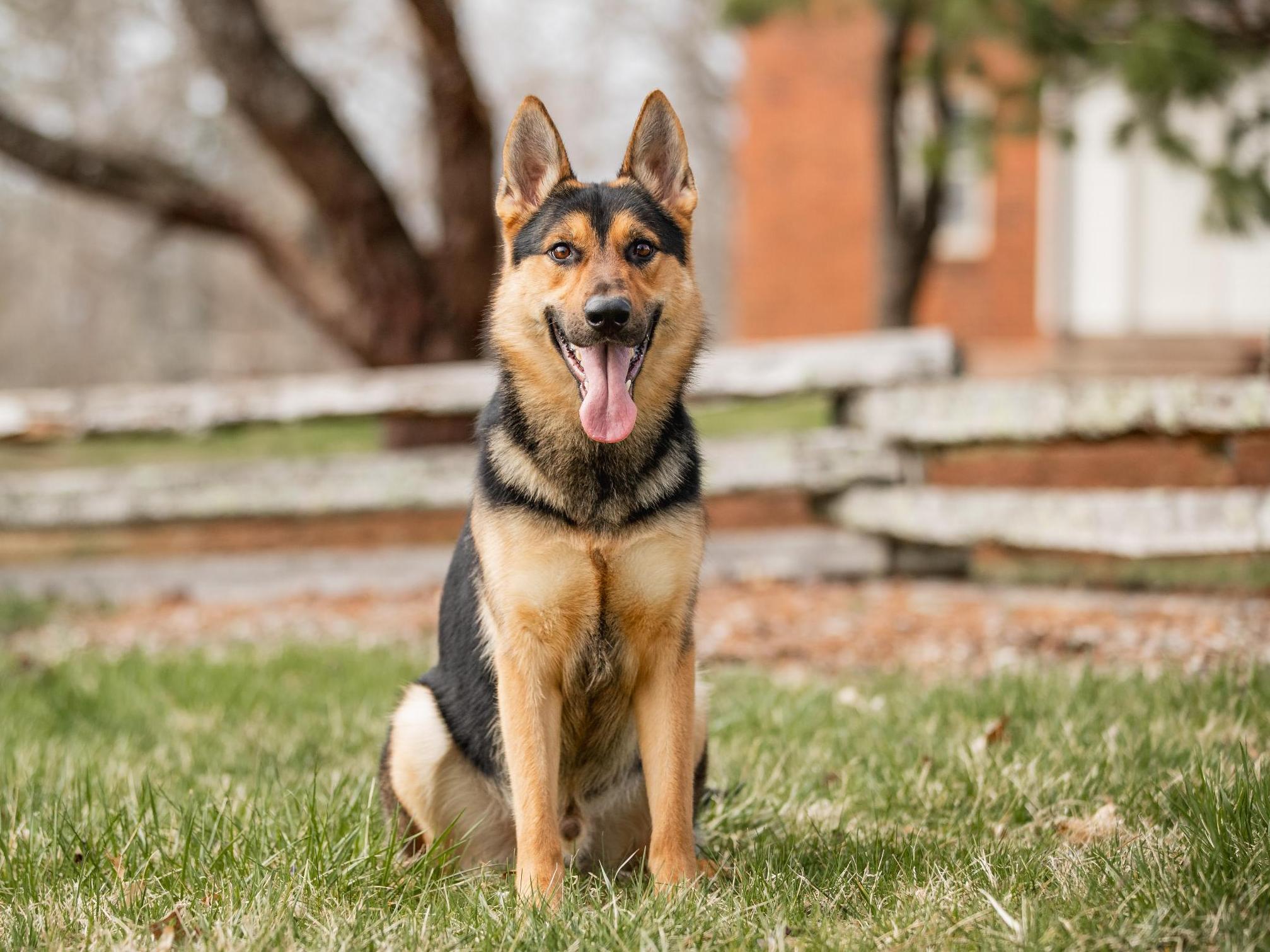 Zannie von Prufenpuden Image