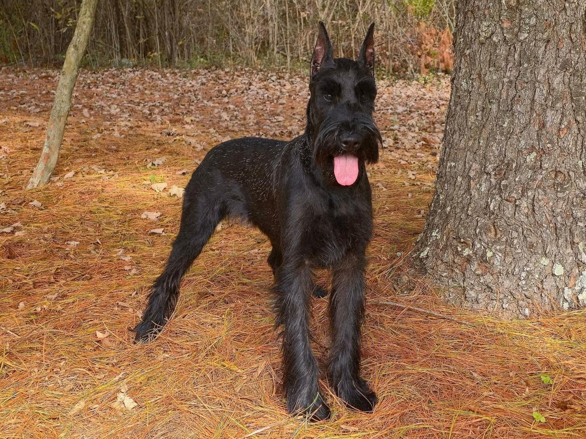 Maren von Prufenpuden Image