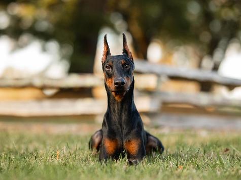 Mason von Prufen  Image