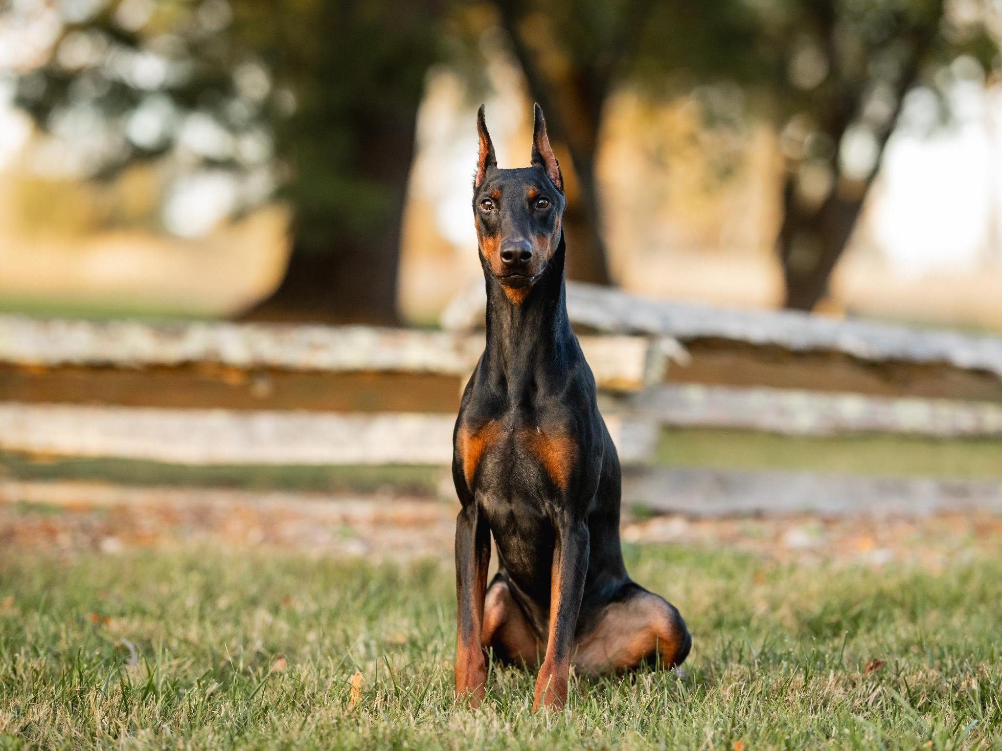 Mason von Prufen  Image