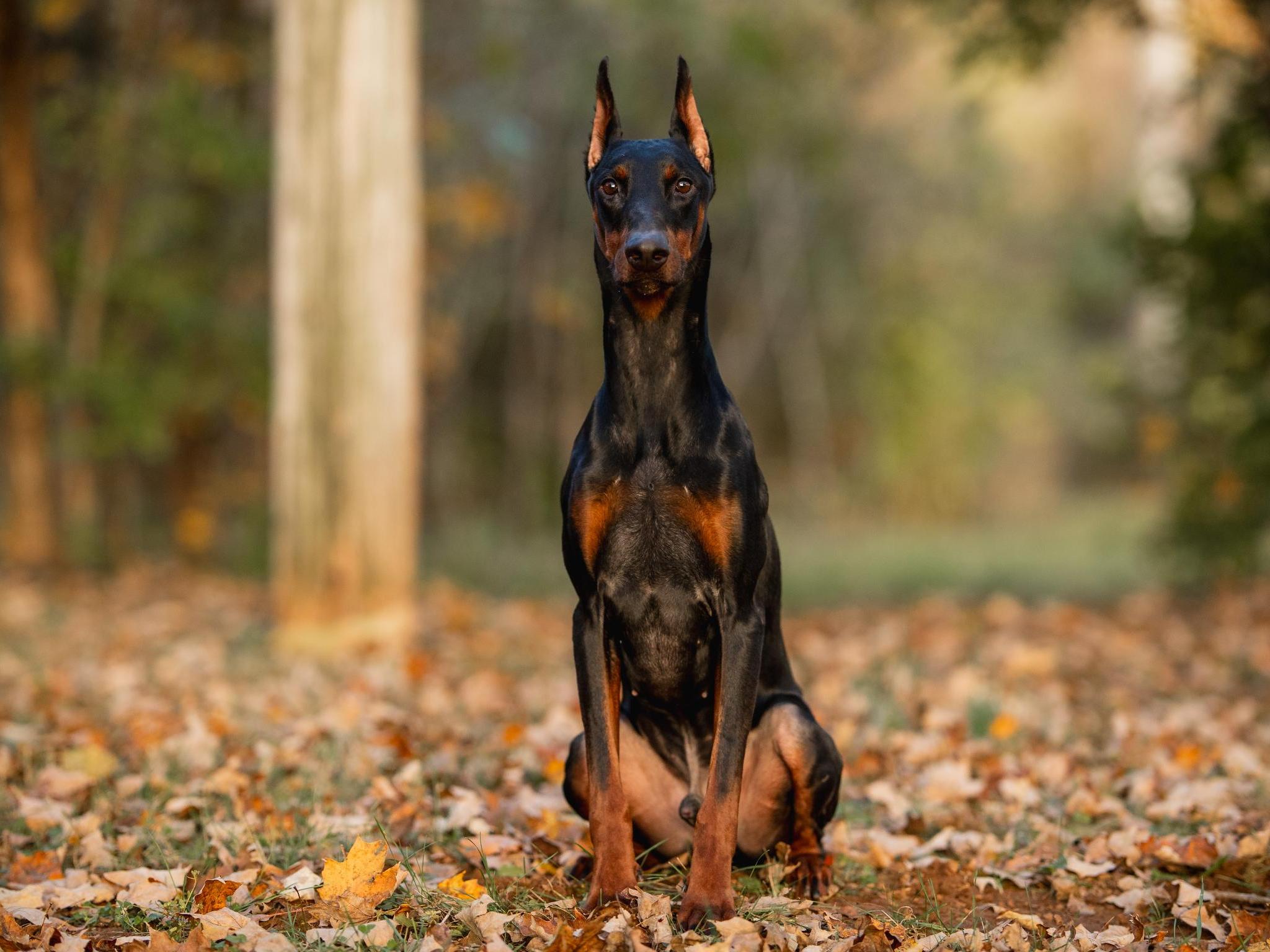 Mason von Prufen  Image