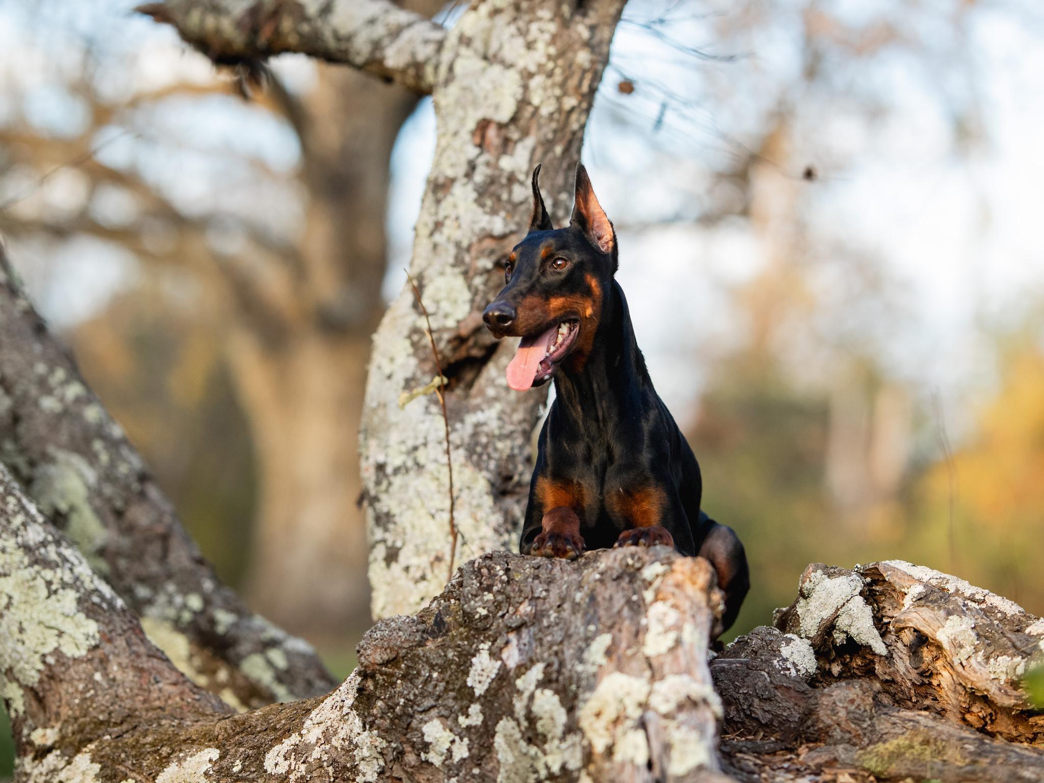 Mason von Prufen  Image