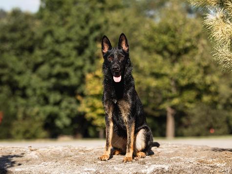 Zip von Prufenpuden Image