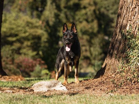 Zip von Prufenpuden Image