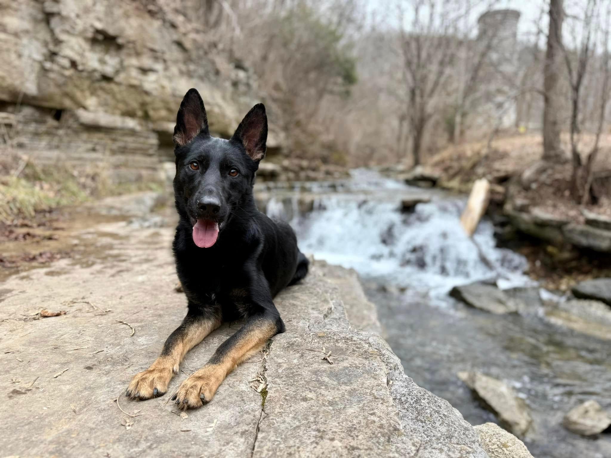 Zip von Prufenpuden Image