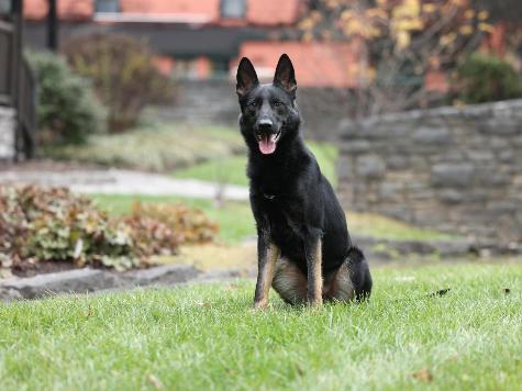 Zip von Prufenpuden Image