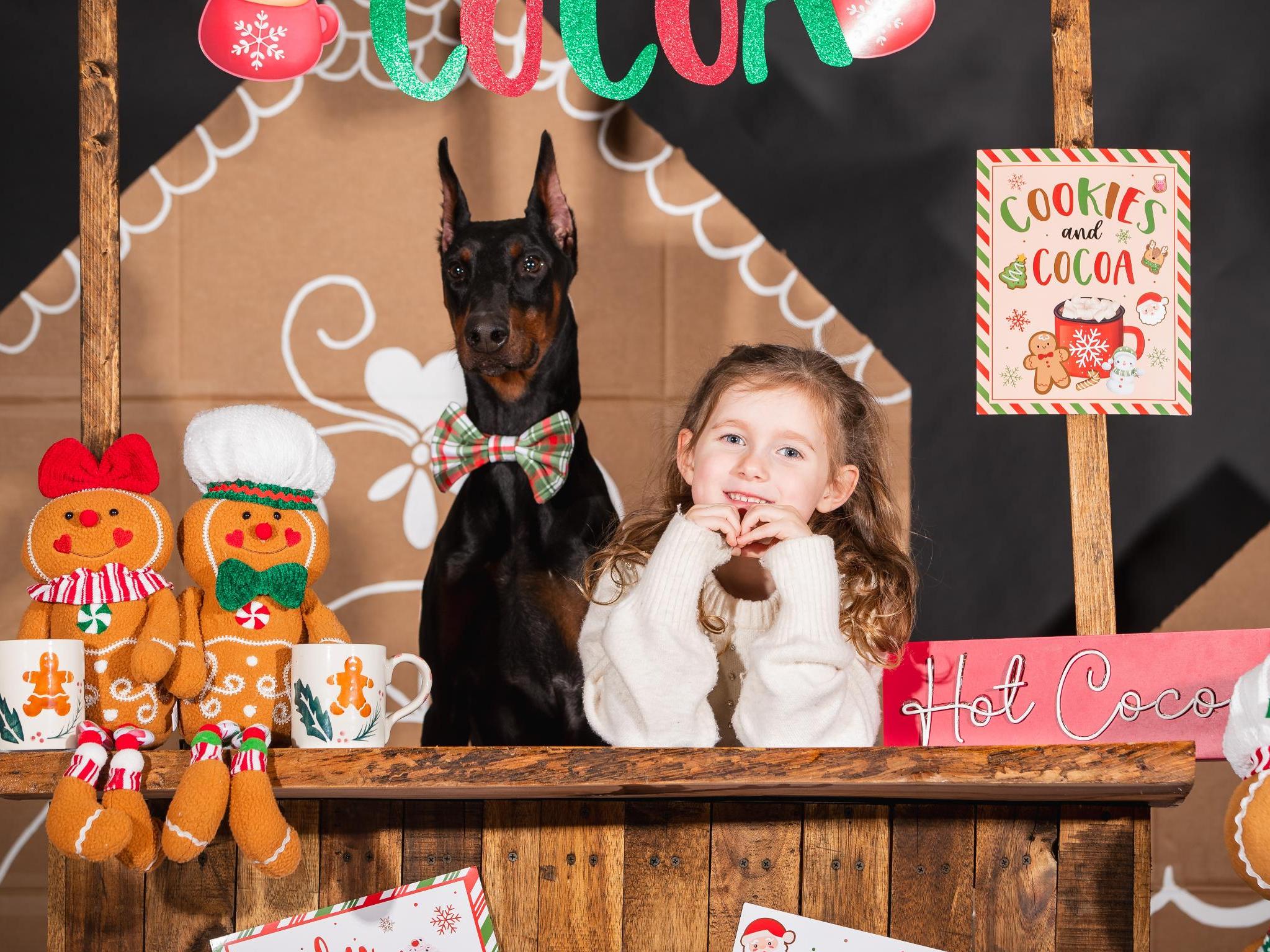 Doberman Puppies BAB & Super Dog Candidates Image