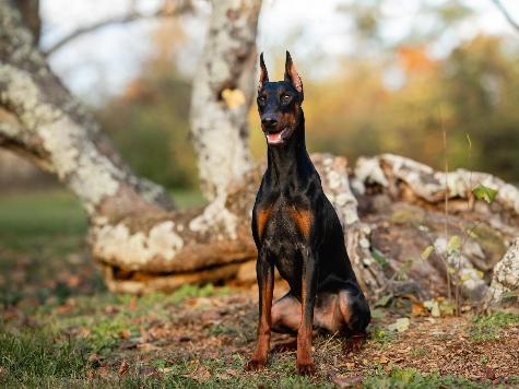 Mason von Prufen  Image