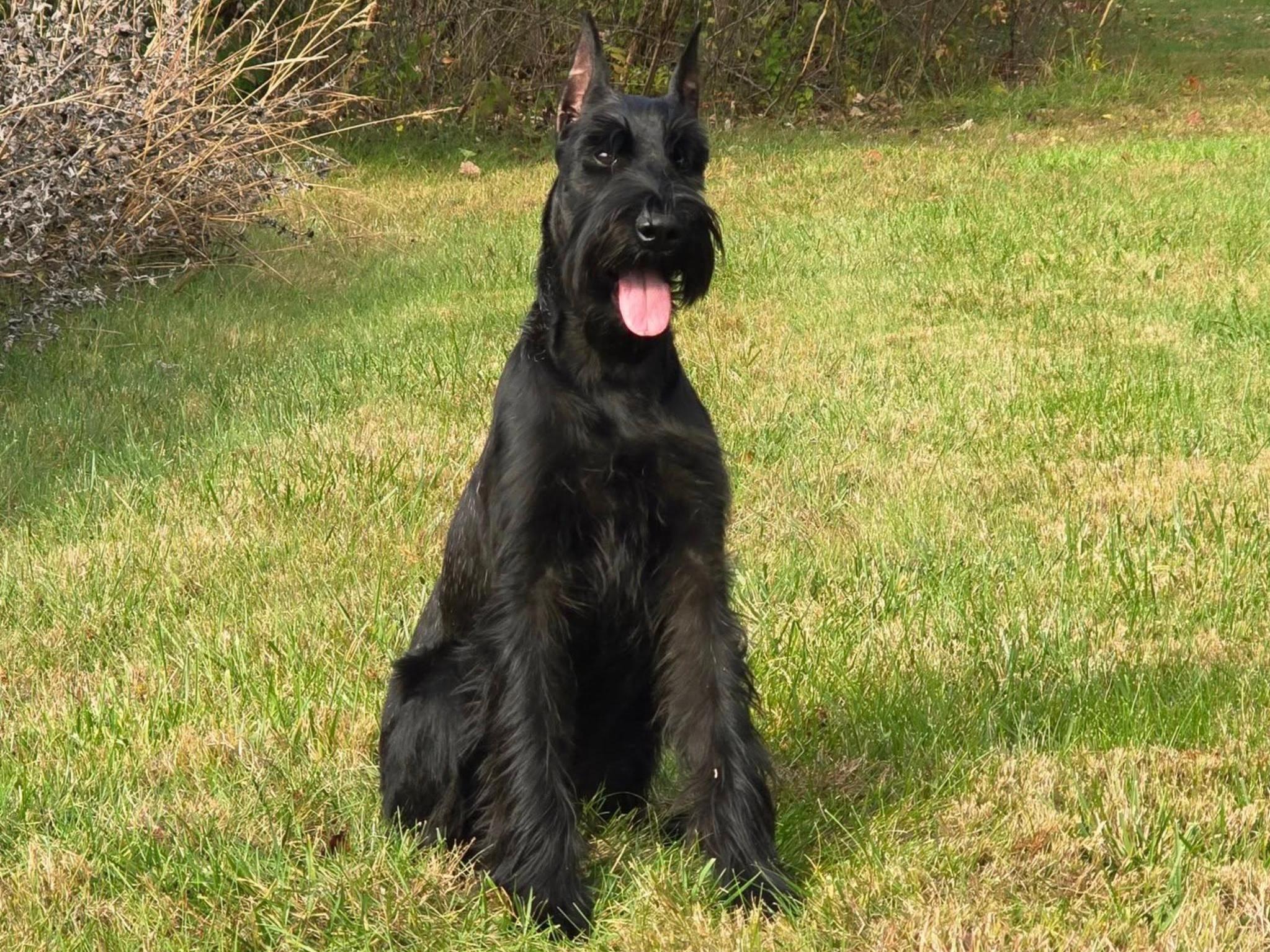 Maren von Prufenpuden Image