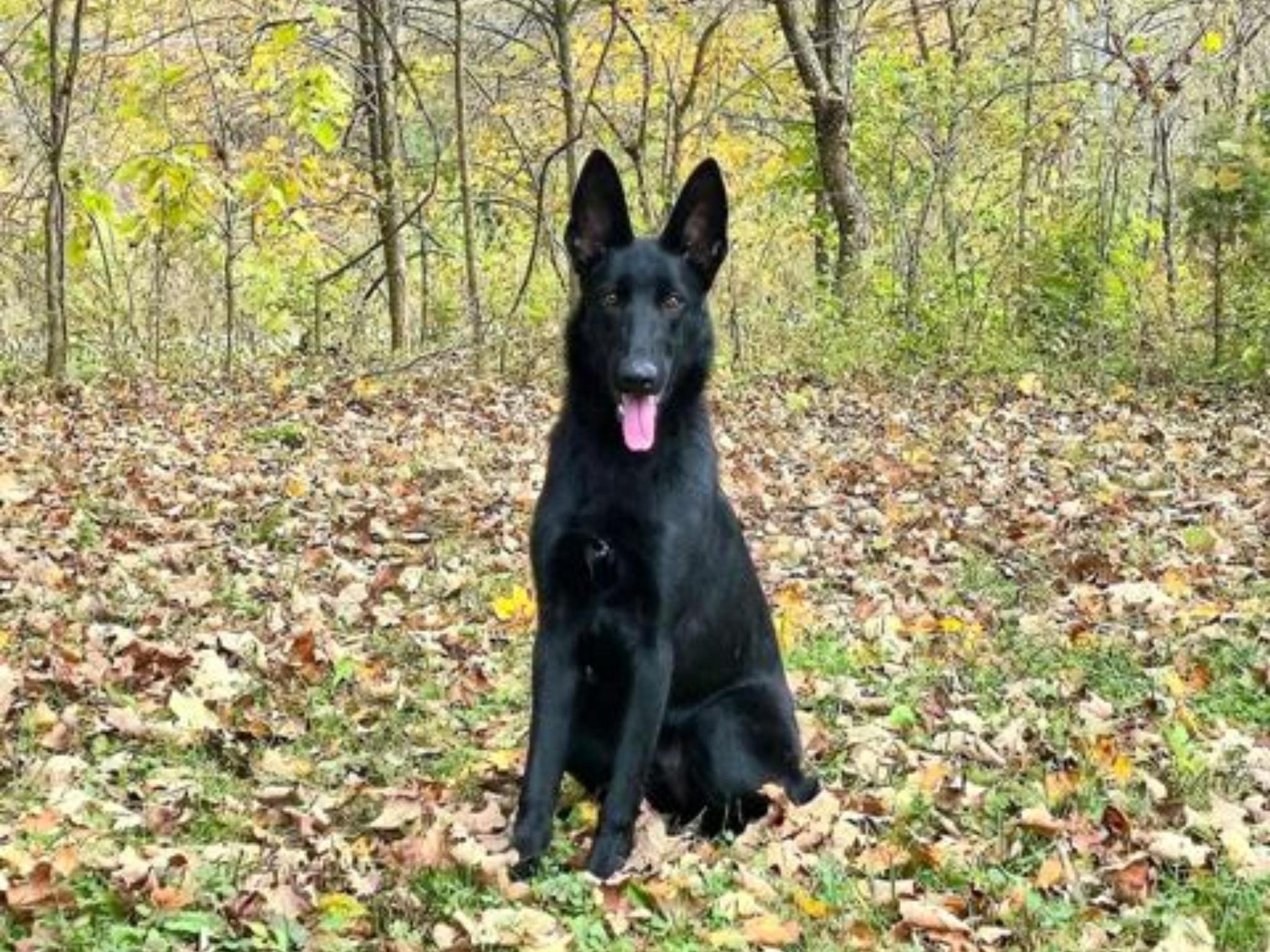 Nona von Prufenpuden Image