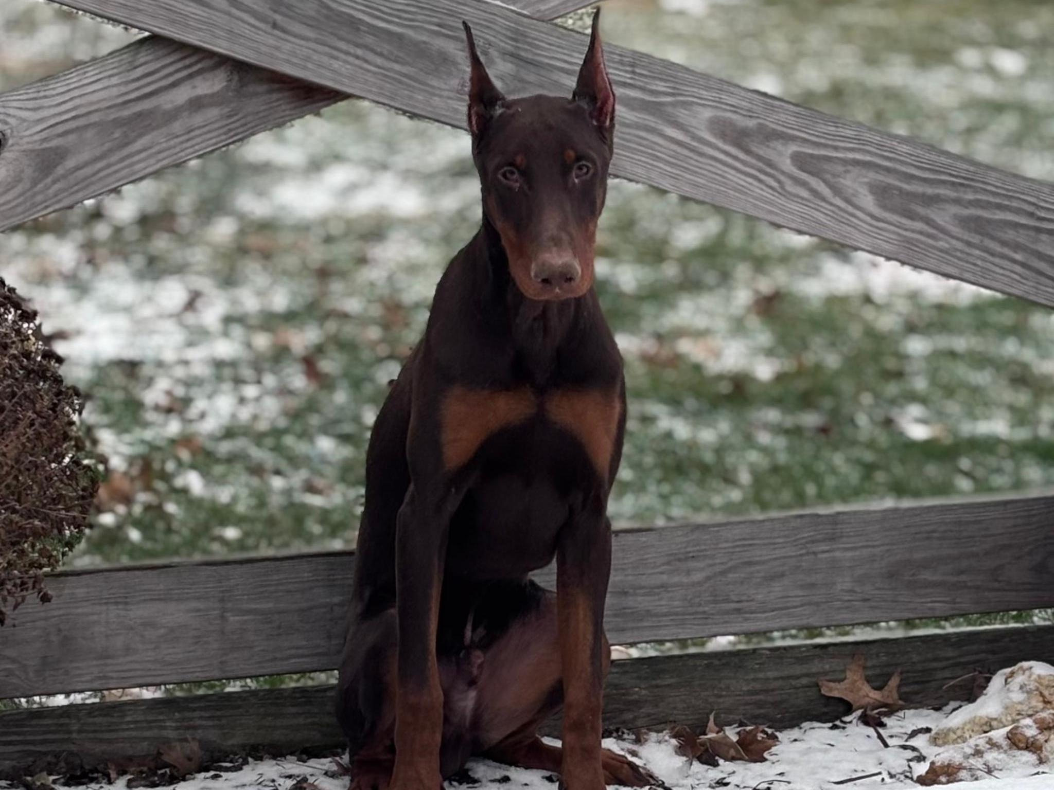 Hutch von Prufen Image