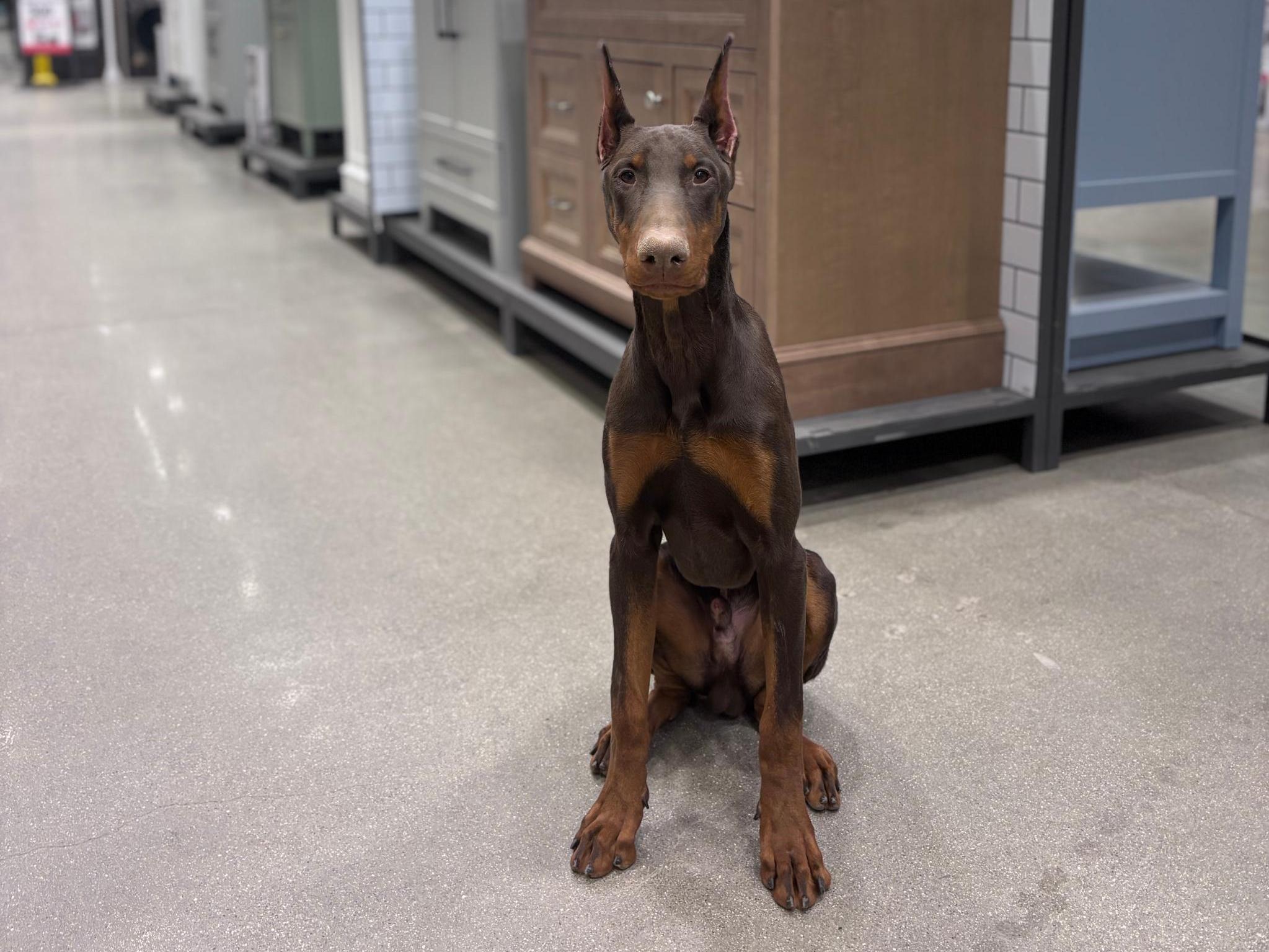 Hutch von Prufen Image