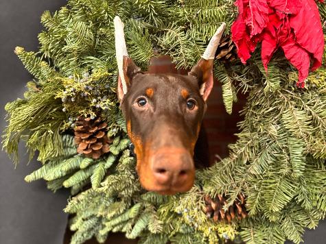 Hutch von Prufen Image