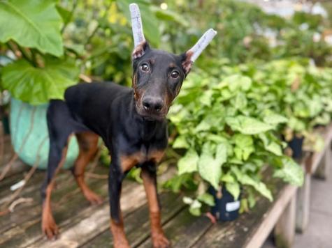 Wanda von Prufen Image