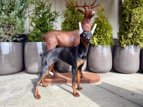 Wanda von Prufen Image