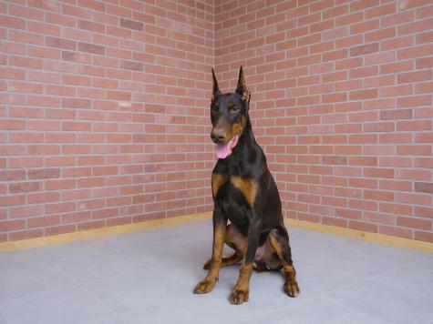 Hutch von Prufen Image