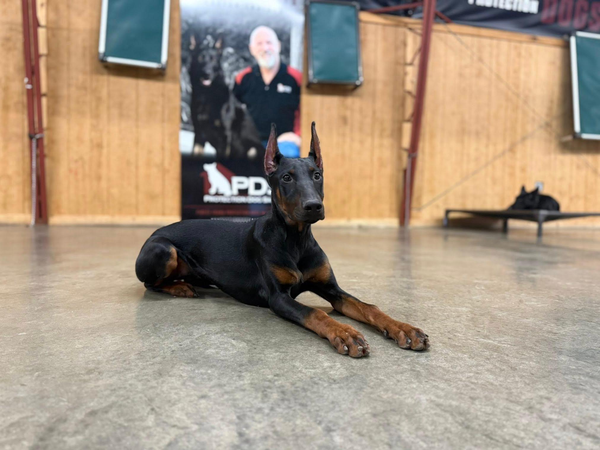 Wanda von Prufen Image