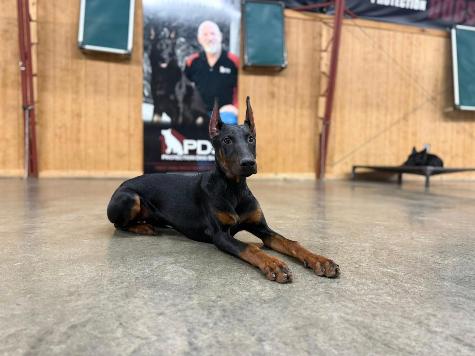 Wanda von Prufen Image