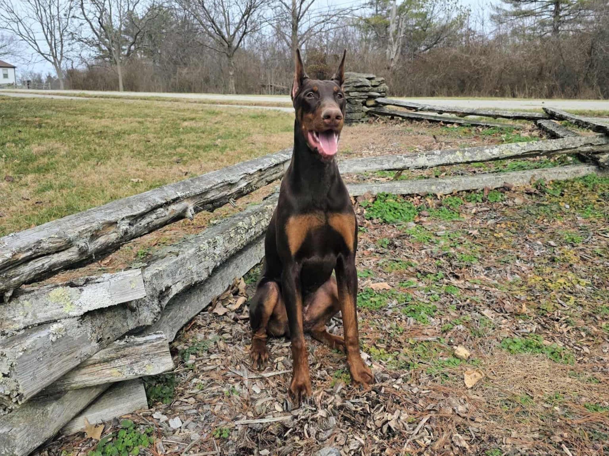 Hutch von Prufen Image