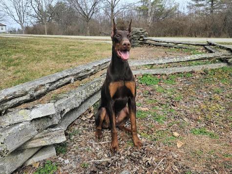 Hutch von Prufen Image