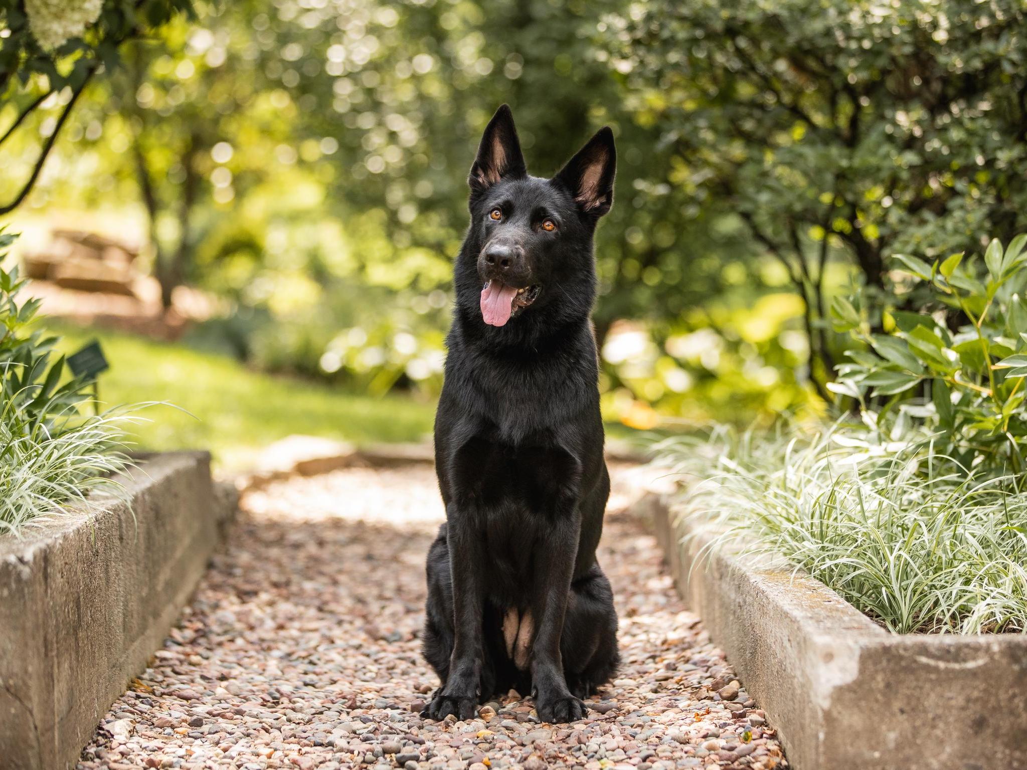 Fia von Prufenpuden Image