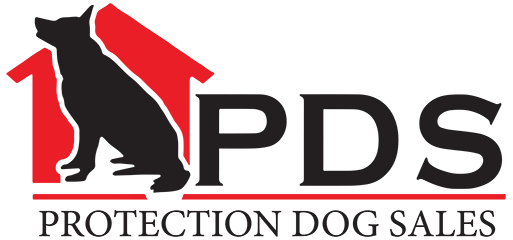 Protection Dog Sales Home Raised Family Protection Dogs, German Shepherds, Dobermans & Giant Schnauzers