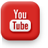 Find Protection Dogs For Sale on YouTube
