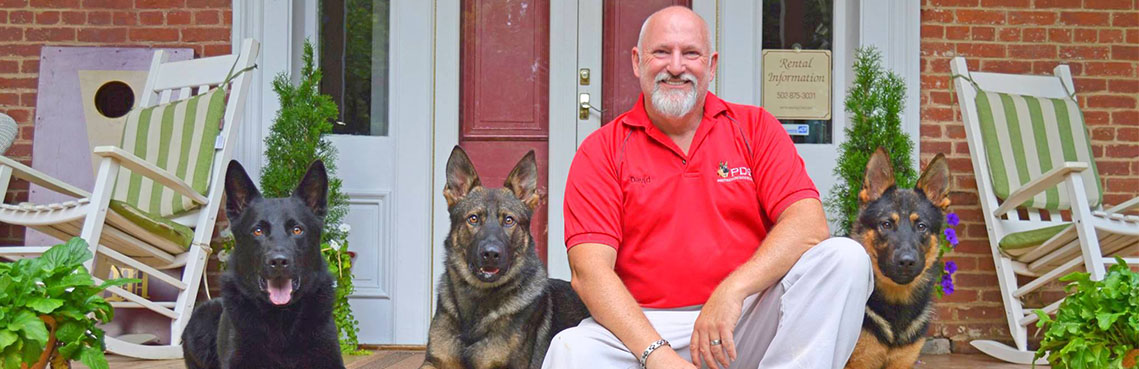 David harris protection shop dog sales