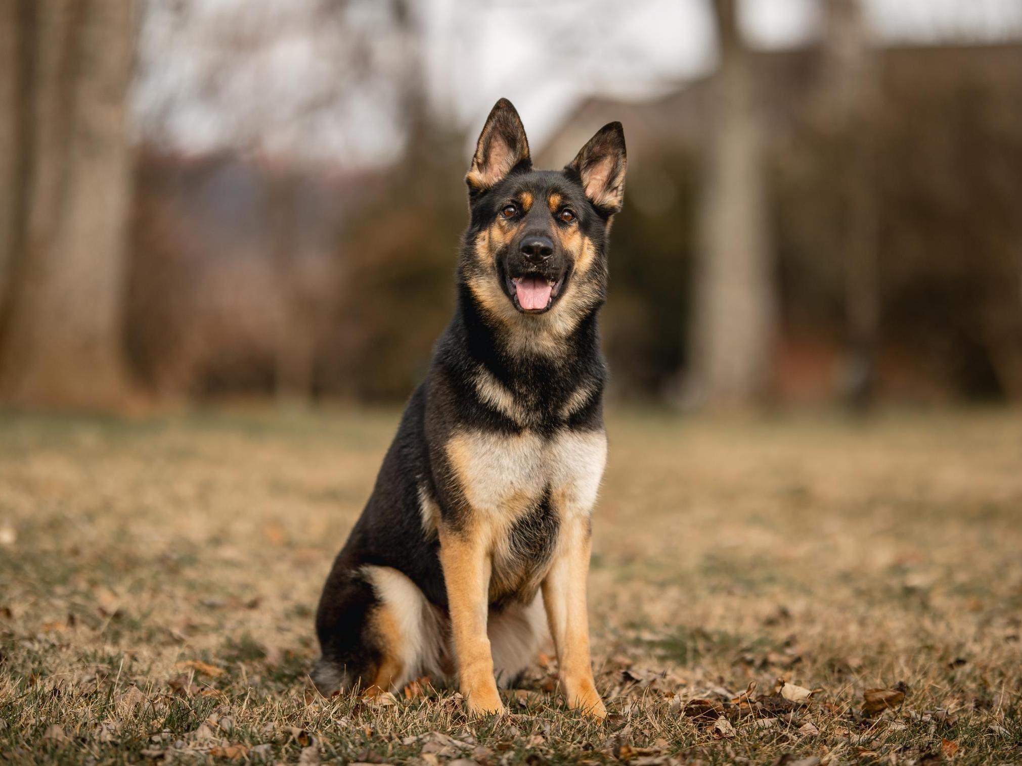 Pippa von Prufenpuden