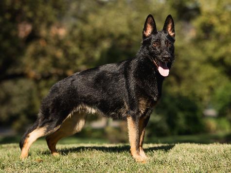 Zip von Prufenpuden Image