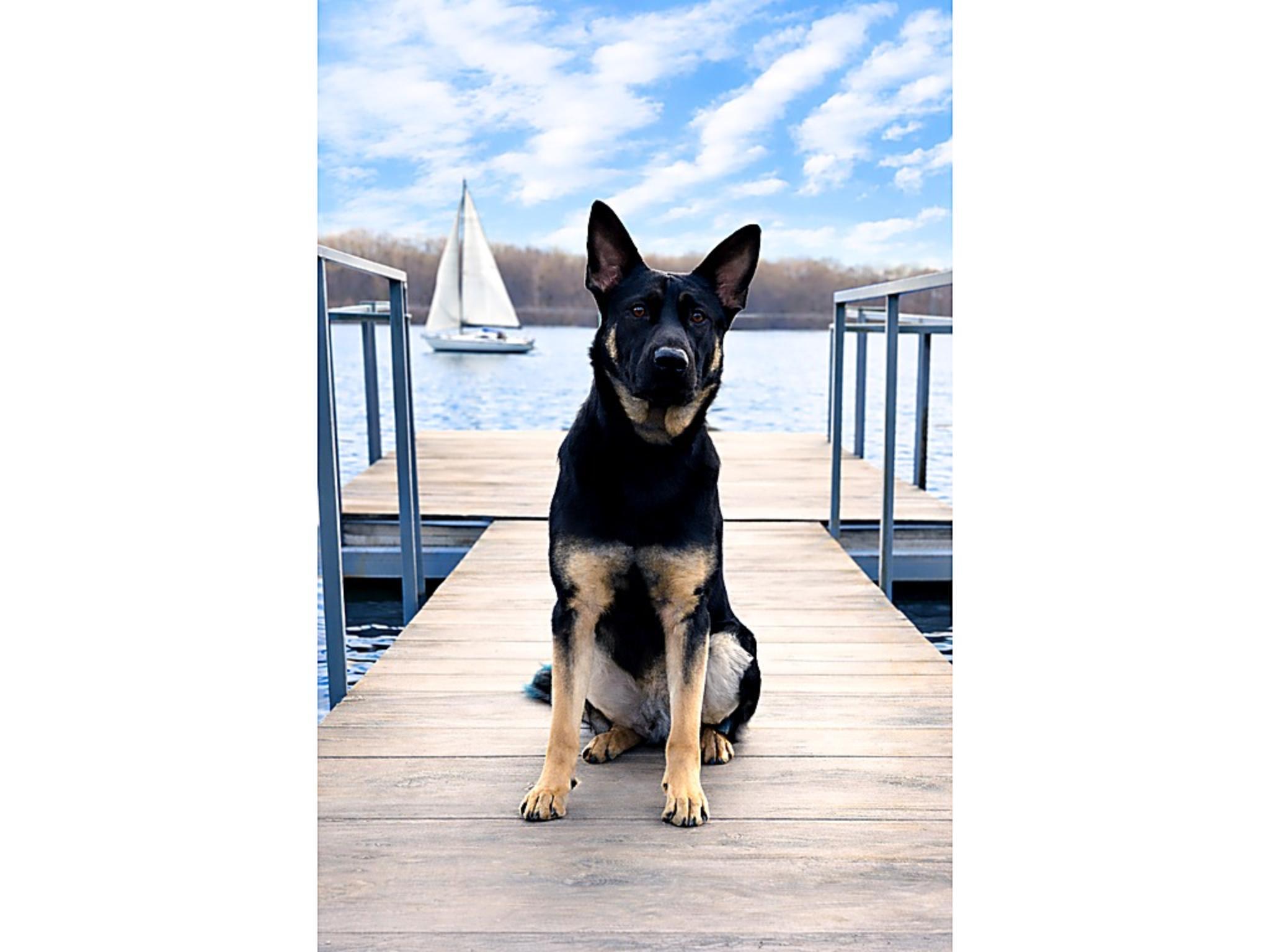 Isobel von Prufenpuden