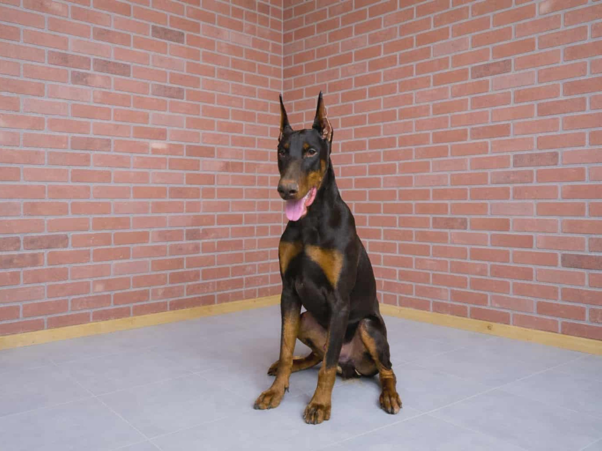 Hutch von Prufen Image