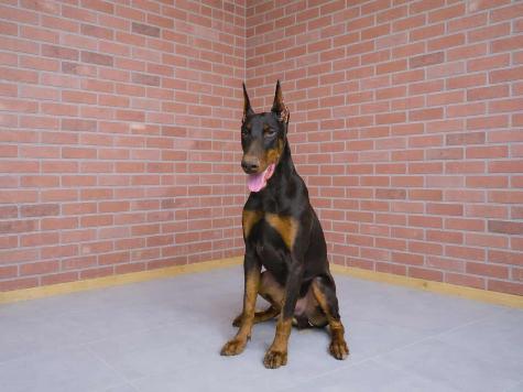 Hutch von Prufen Image